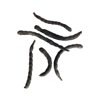 Fava de Bejerecum